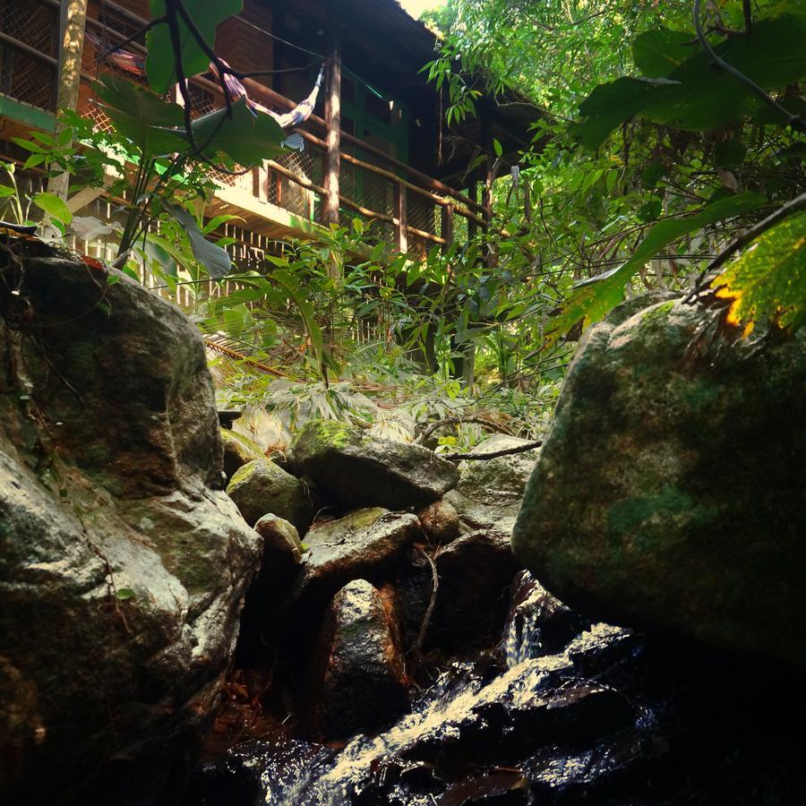 Pousada Sitio Dos Tucanos Florianópolis Eksteriør bilde