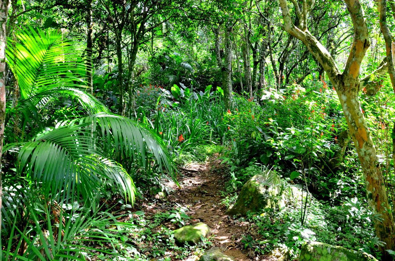 Pousada Sitio Dos Tucanos Florianópolis Eksteriør bilde